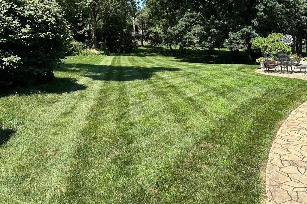 Why Regular Lawn Care Matters for a Healthy, Great-Looking&nbsp;Yard